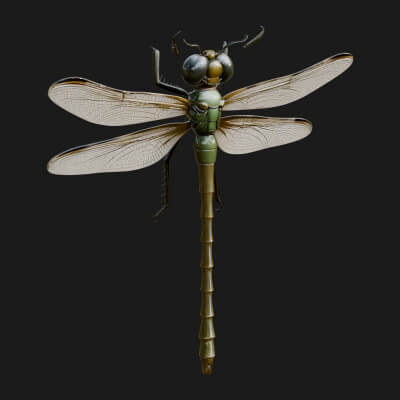Dragonfly Statue Design 3 3D Print Model