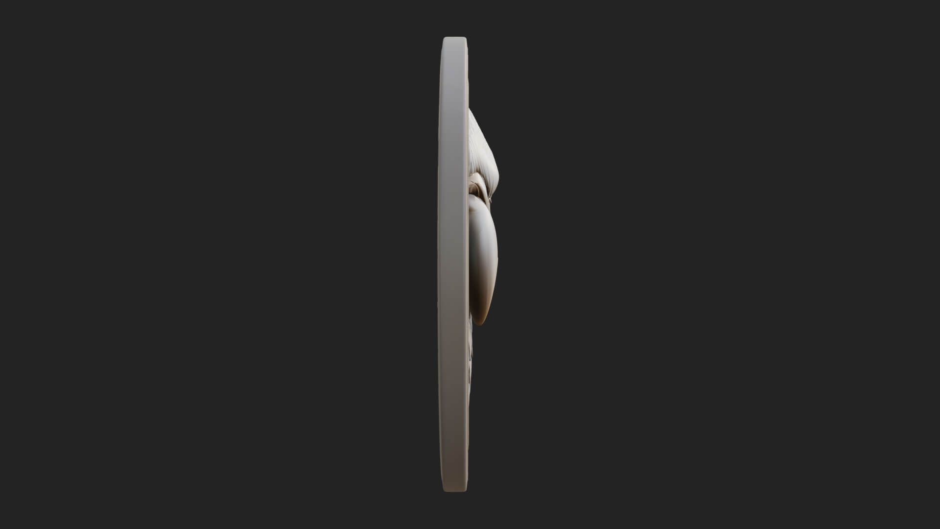 Eagle Head Oval Relief Plaque Design 5 3D Print Model 3D Model