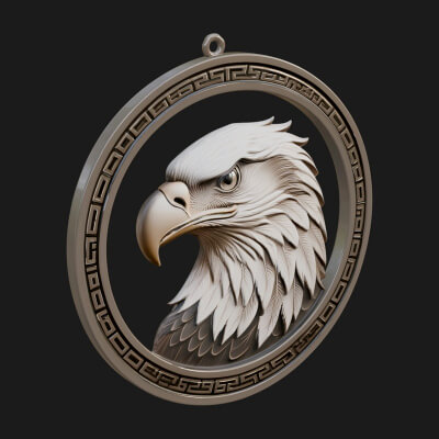 Eagle Head Oval Relief Plaque Design 6 3D Print Model