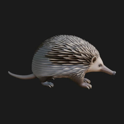 Echidna Statue Design 1 3D Print Model