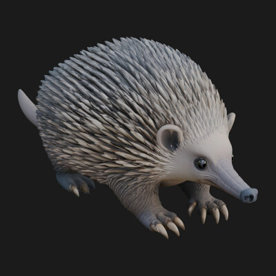 Echidna Statue Design 3 3D Print Model