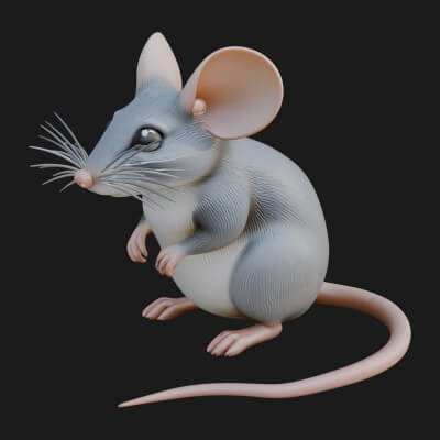 Field Mouse Statue Design 6 3D Print Model