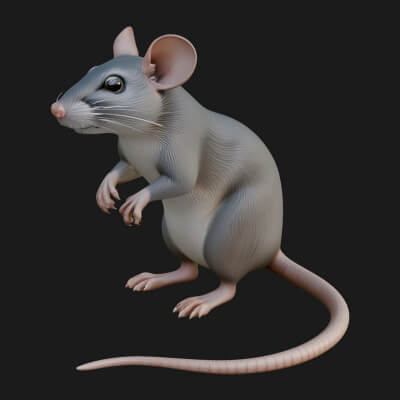 Field Mouse Statue Design 7 3D Print Model