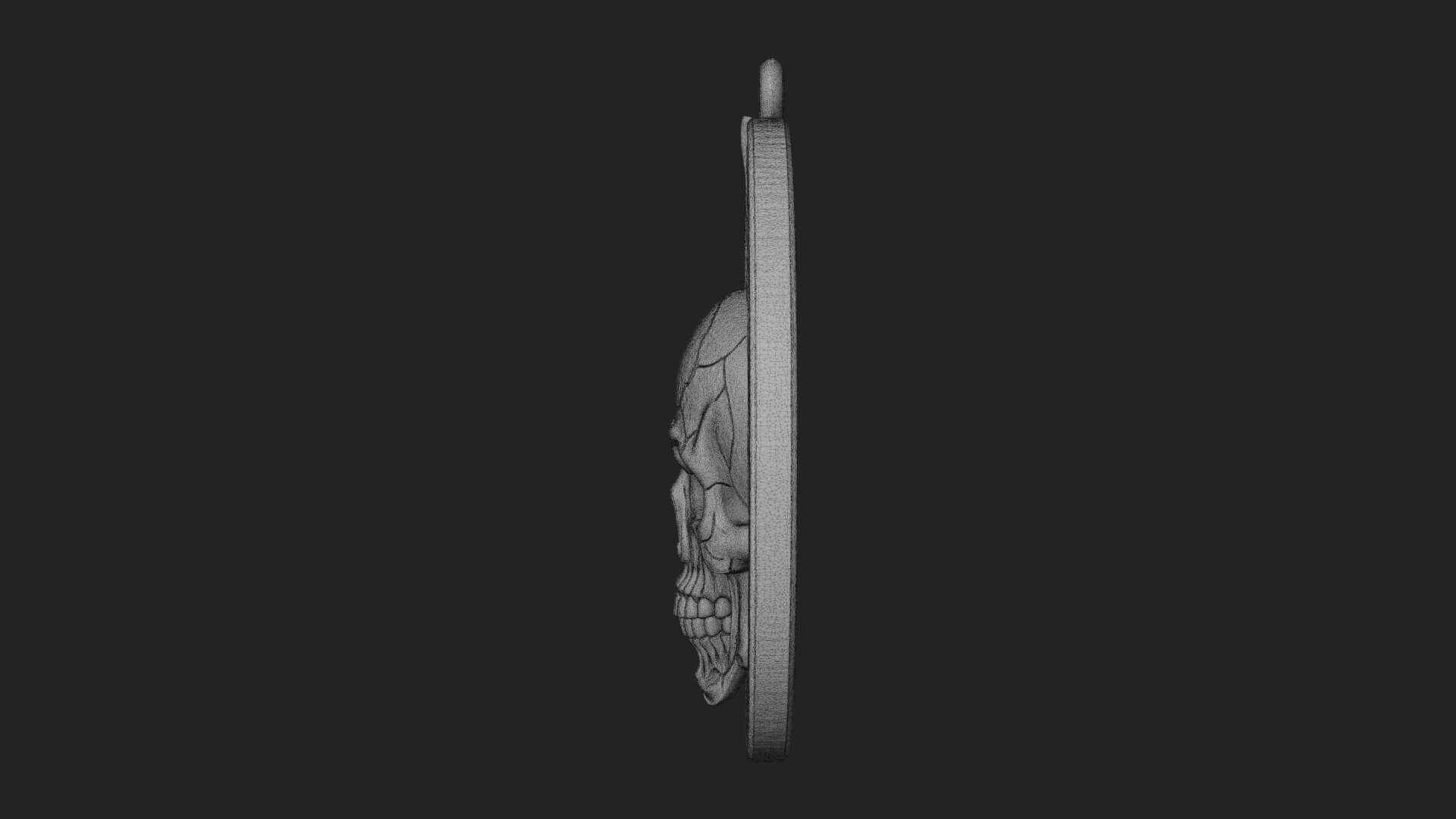Flame Skull Oval Relief Plaque Design 4 3D Print Model 3D Model
