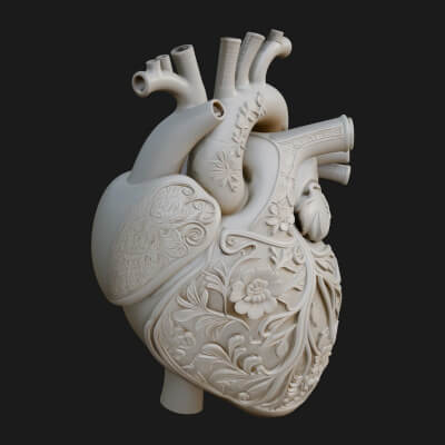 Floral Carved Anatomical Heart Model Design 2 3d Print