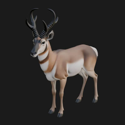 Gazelle Statue Design 1 3D Print Model