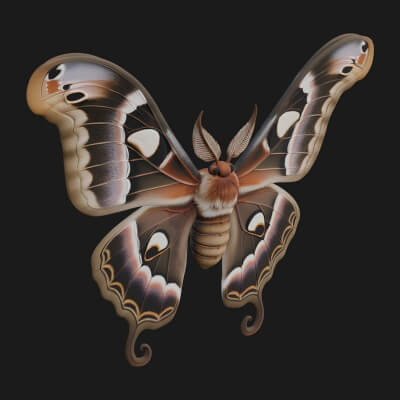 Giant Moth Statue Design 3 3D Print Model