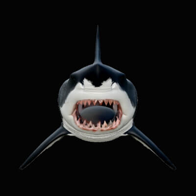 Great White Shark Statue Design 5 3D Print Model