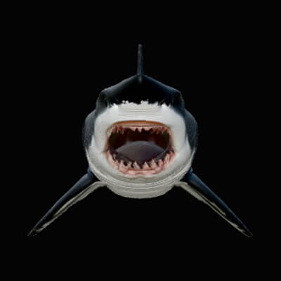 Great White Shark Statue Design 8 3D Print Model