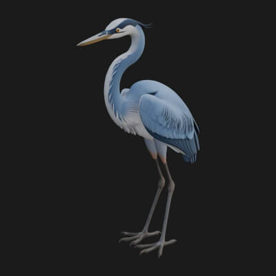 Heron Bird Statue Design 2 3d Print Model