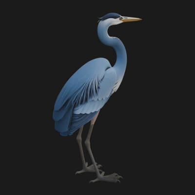 Heron Bird Statue Design 3 3D Print Model