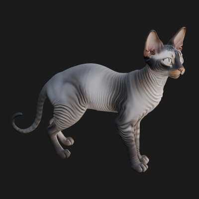House Cat Statue Design 29 3D Print Model