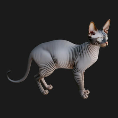House Cat Statue Design 31 3D Print Model