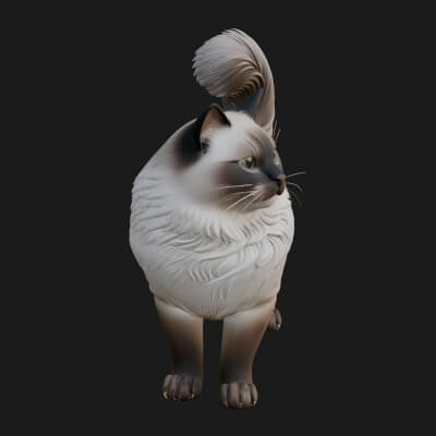 House Cat Statue Design 50 3D Print Model