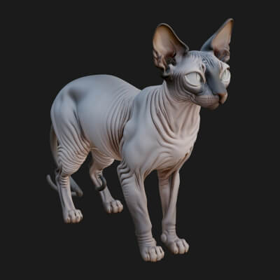 House Cat Statue Design 58 3D Print Model