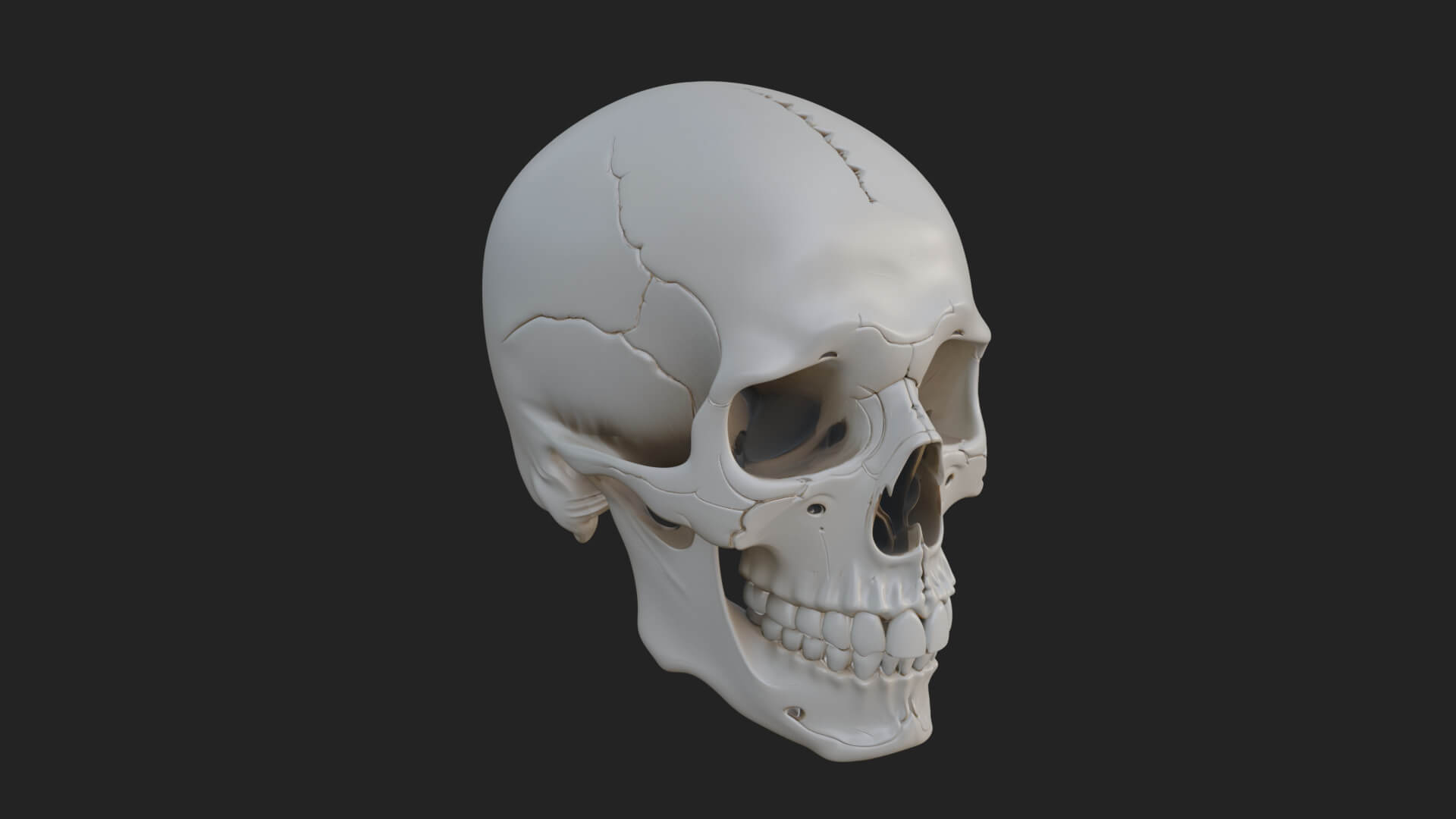 Human Skull Statue Design 1 3D Print Model 3D Model
