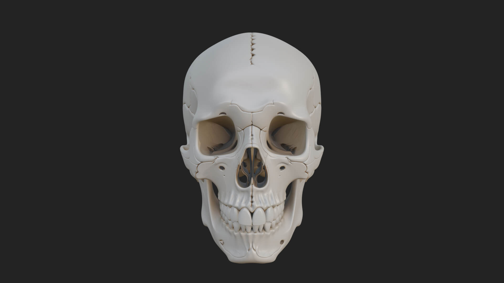 Human Skull Statue Design 1 3D Print Model 3D Model