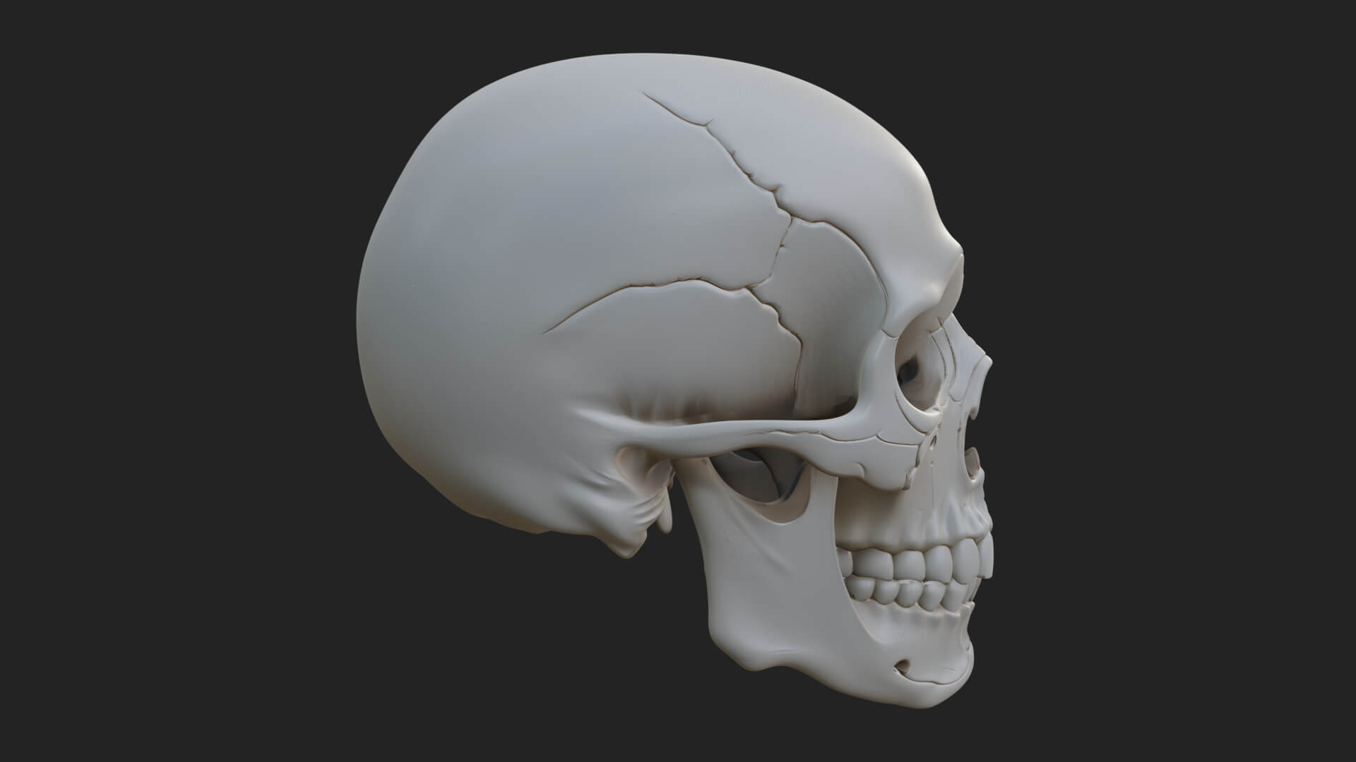 Human Skull Statue Design 1 3D Print Model 3D Model