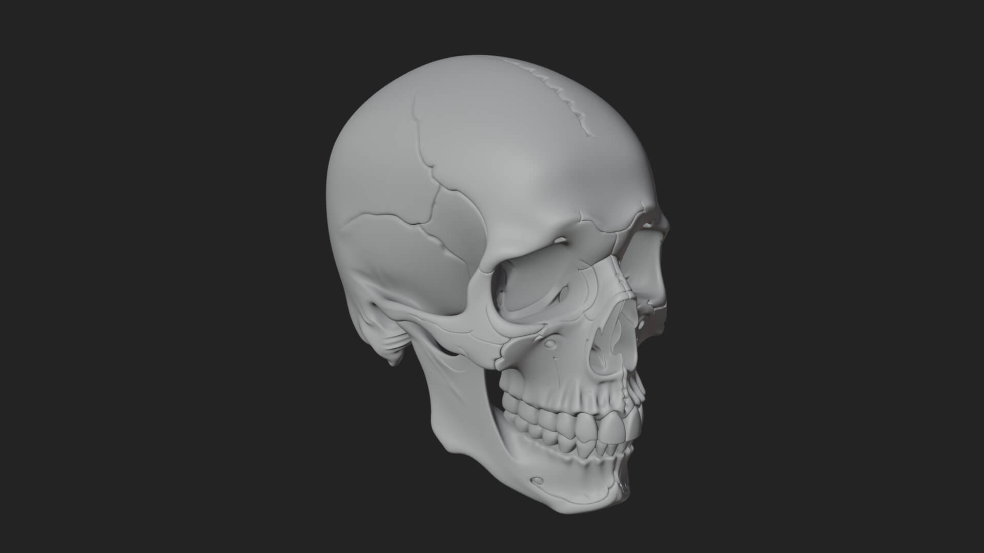 Human Skull Statue Design 1 3D Print Model 3D Model