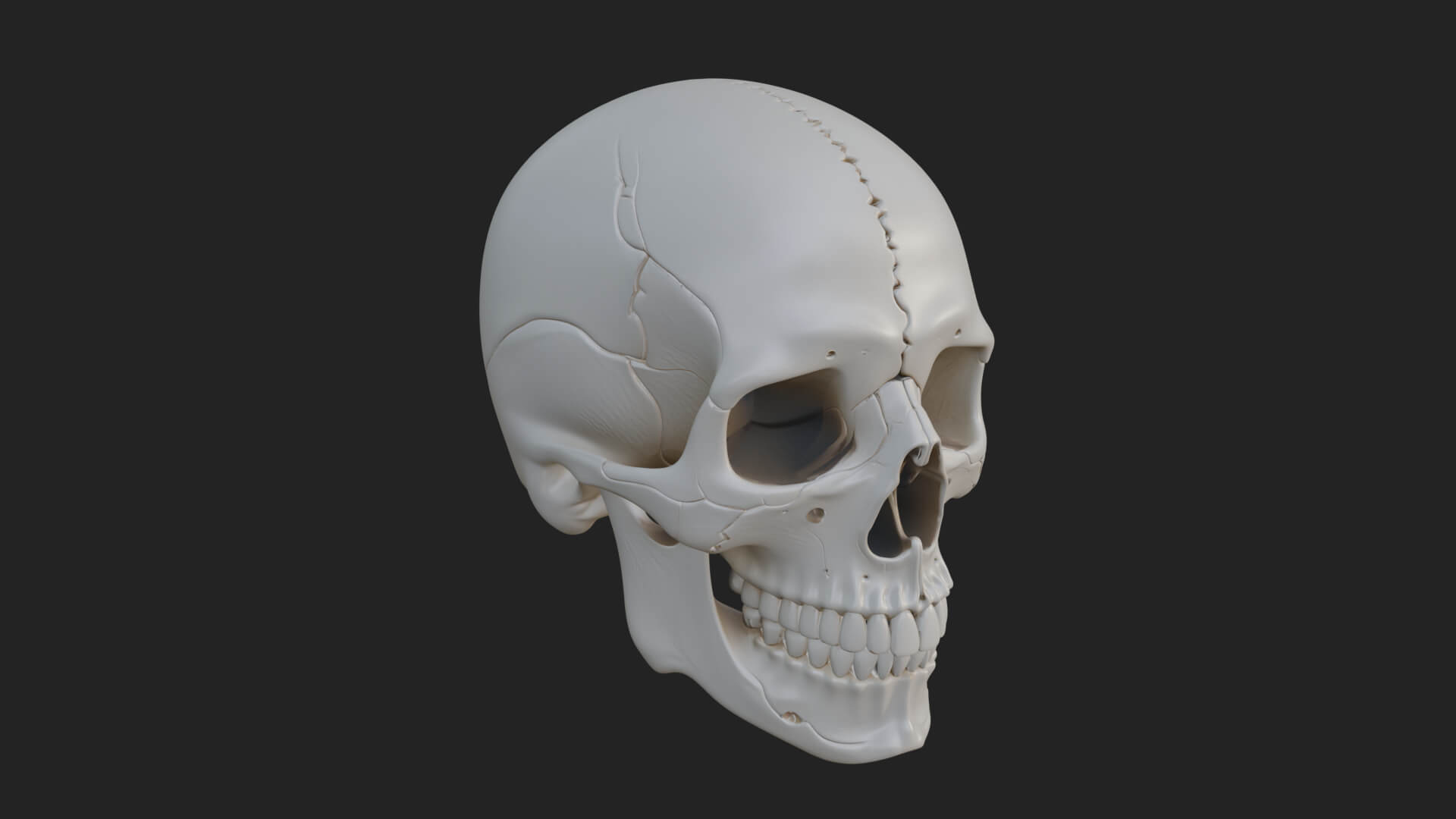 Human Skull Statue Design 3 3D Print Model 3D Model