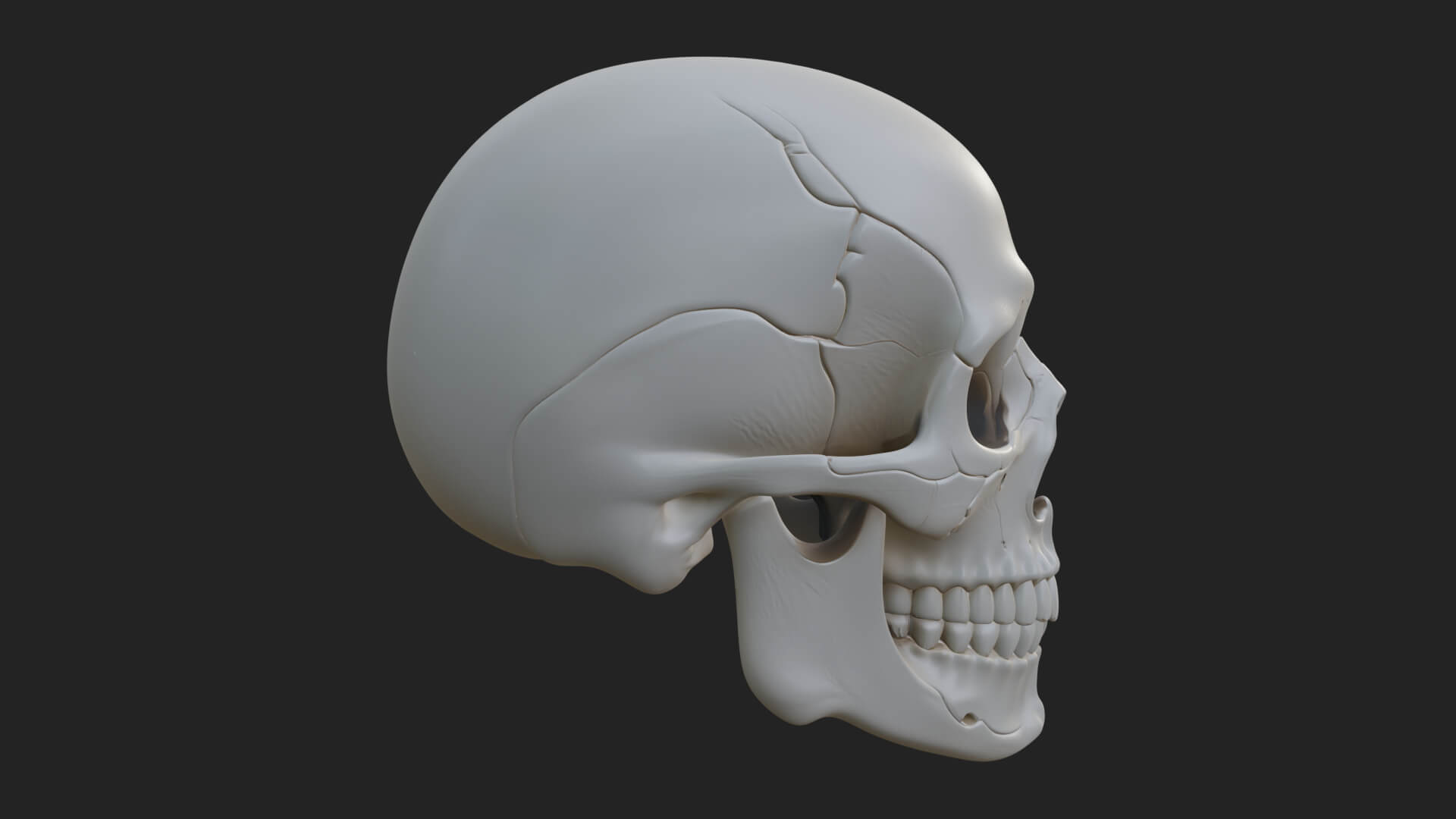 Human Skull Statue Design 3 3D Print Model 3D Model