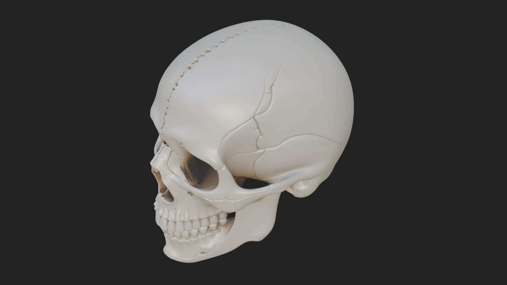Human Skull Statue Design 3 3D Print Model 3D Model