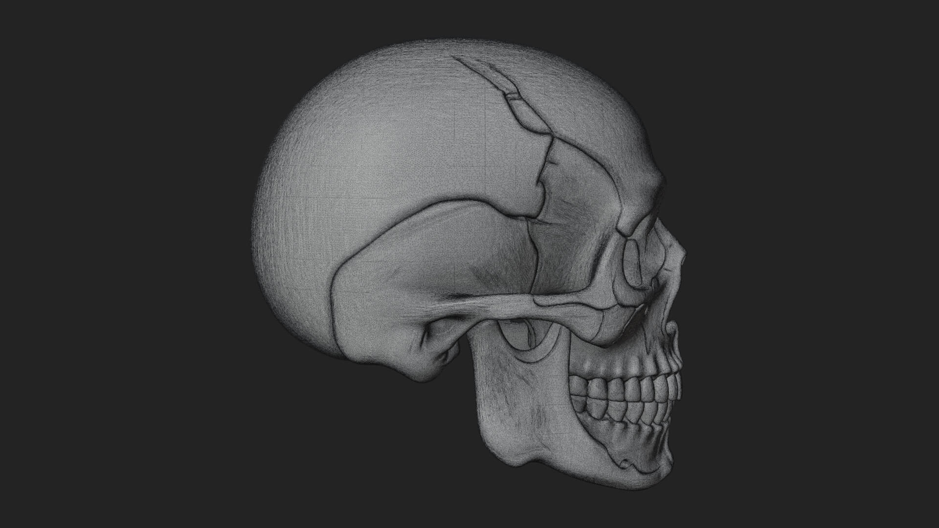 Human Skull Statue Design 3 3D Print Model 3D Model