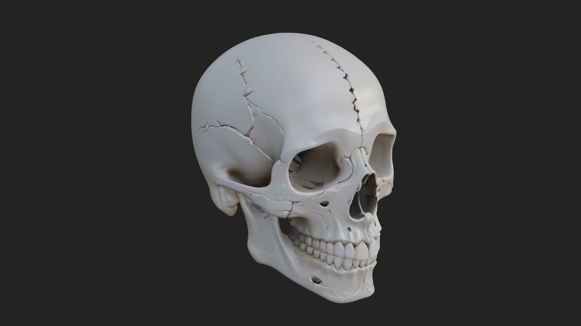 Human Skull Statue Design 5 3D Print Model 3D Model