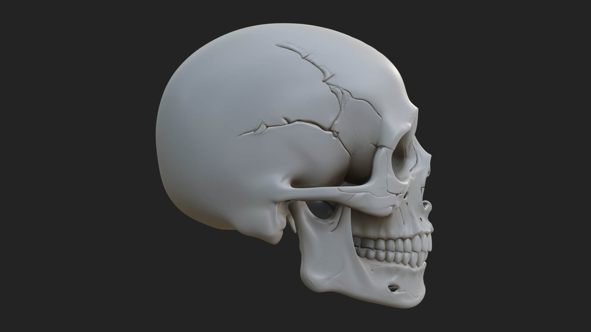Human Skull Statue Design 5 3D Print Model 3D Model