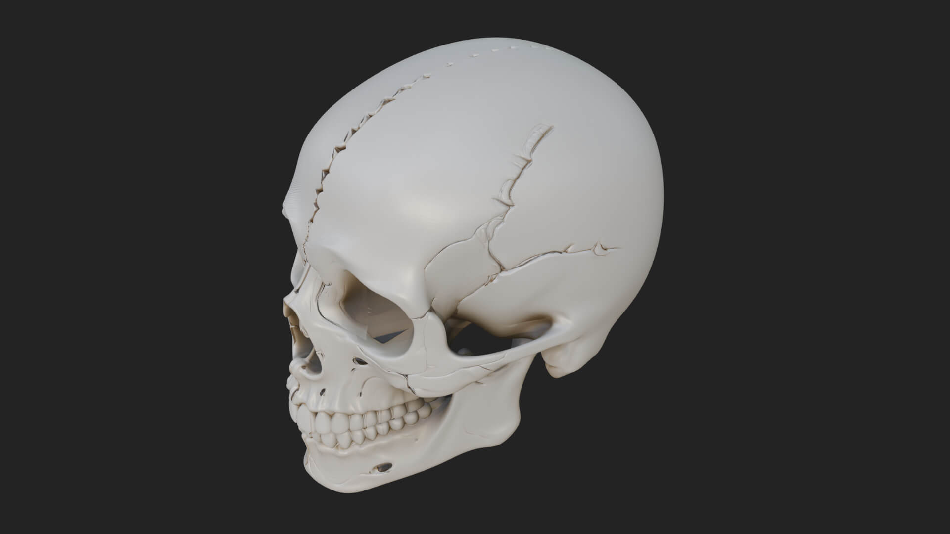 Human Skull Statue Design 5 3D Print Model 3D Model