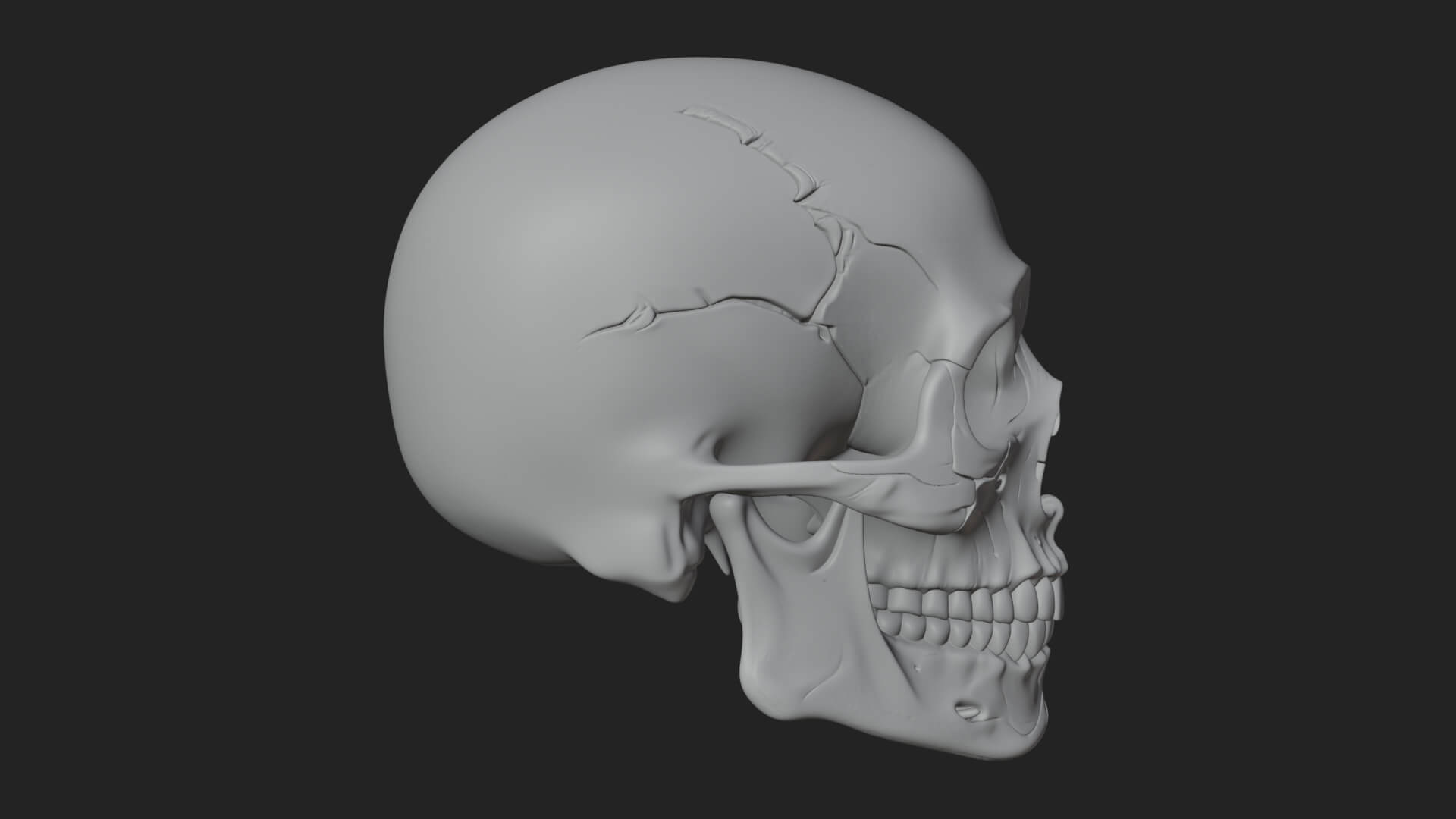 Human Skull Statue Design 5 3D Print Model 3D Model