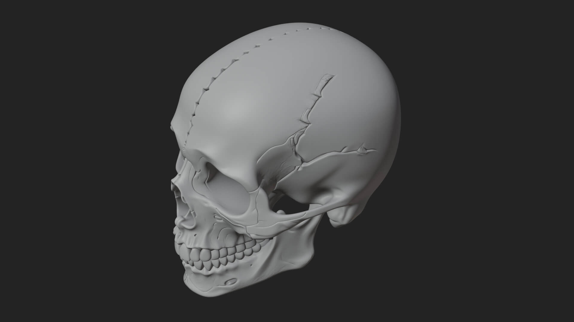 Human Skull Statue Design 5 3D Print Model 3D Model