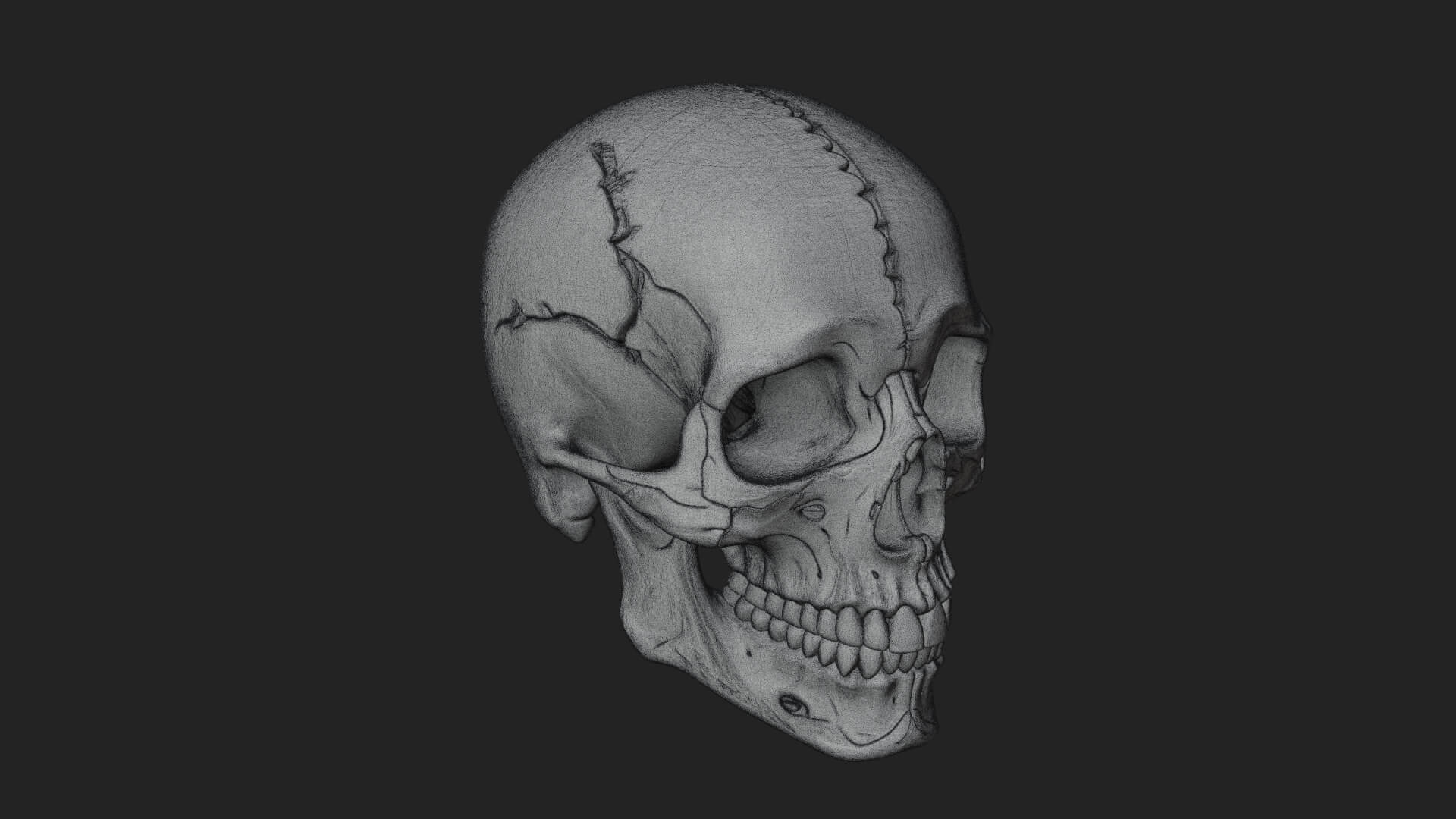 Human Skull Statue Design 5 3D Print Model 3D Model