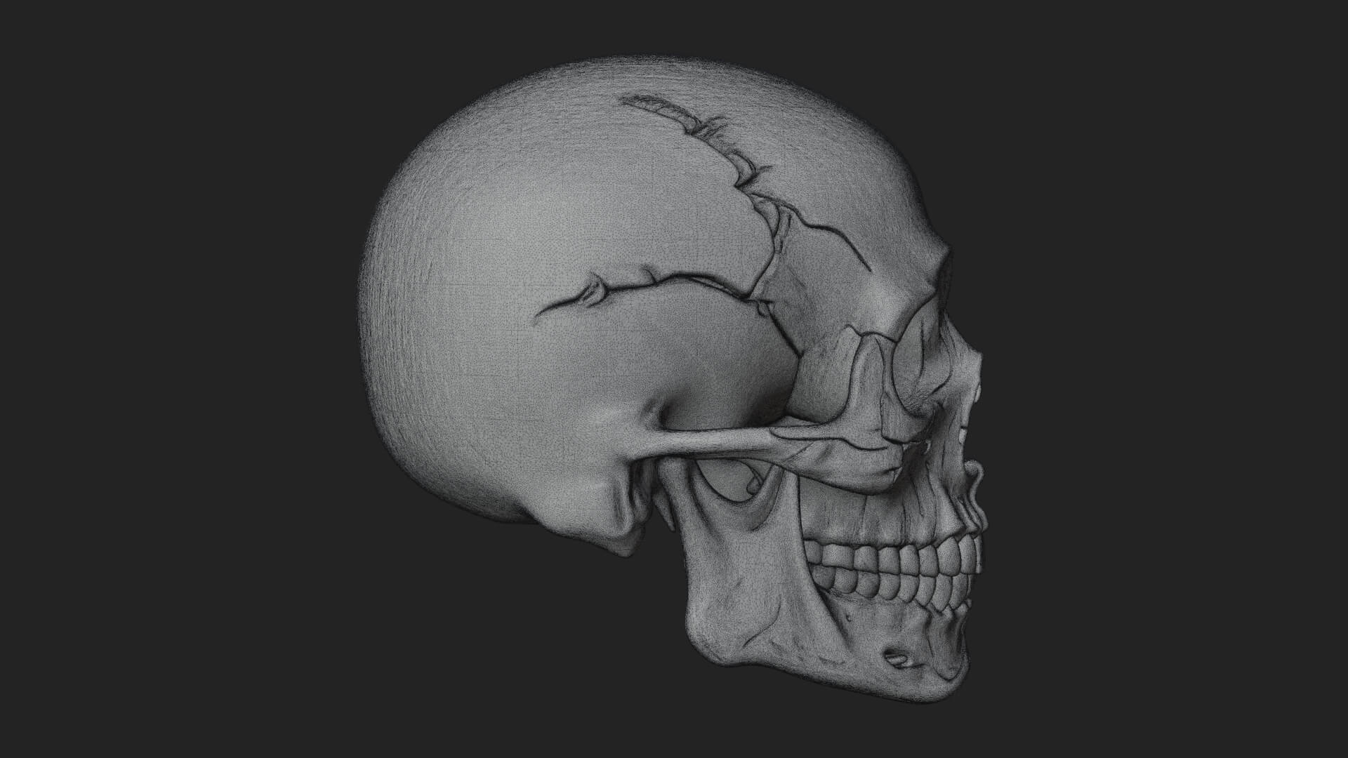 Human Skull Statue Design 5 3D Print Model 3D Model