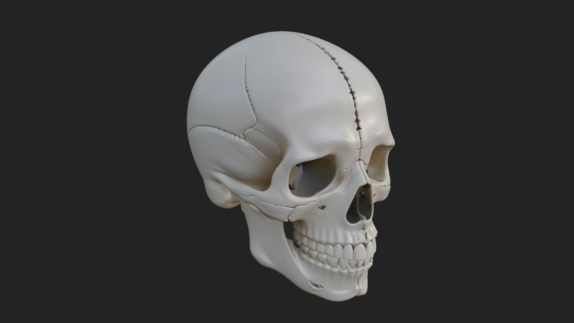 Human Skull Statue Design 6 3D Print Model 3D Model
