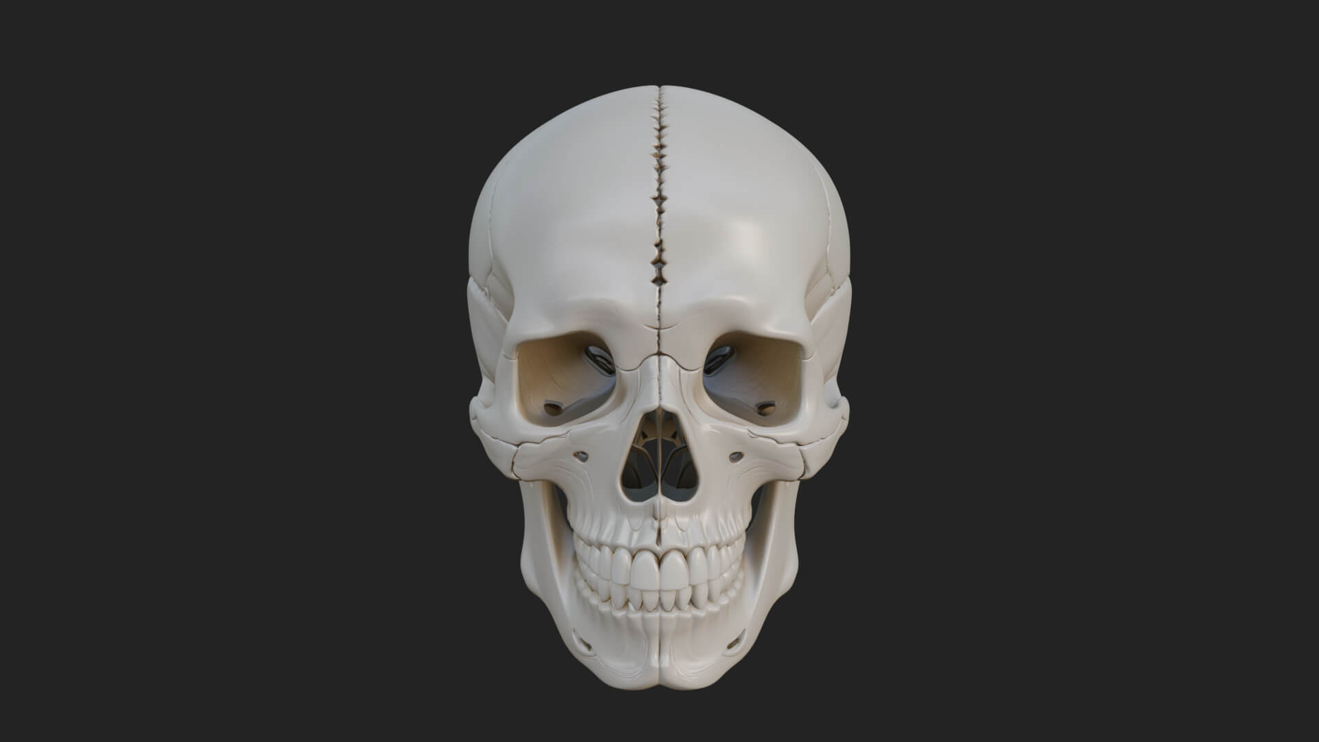 Human Skull Statue Design 6 3D Print Model 3D Model