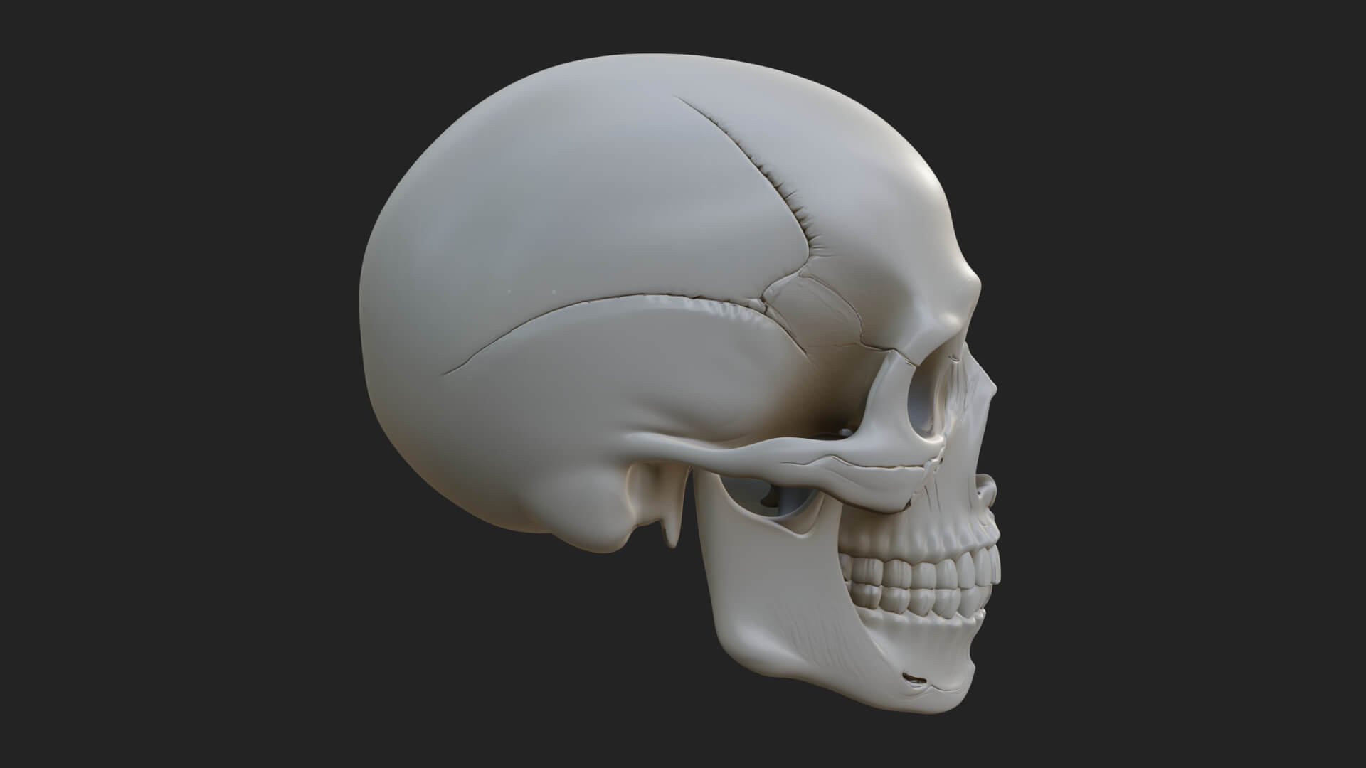 Human Skull Statue Design 6 3D Print Model 3D Model