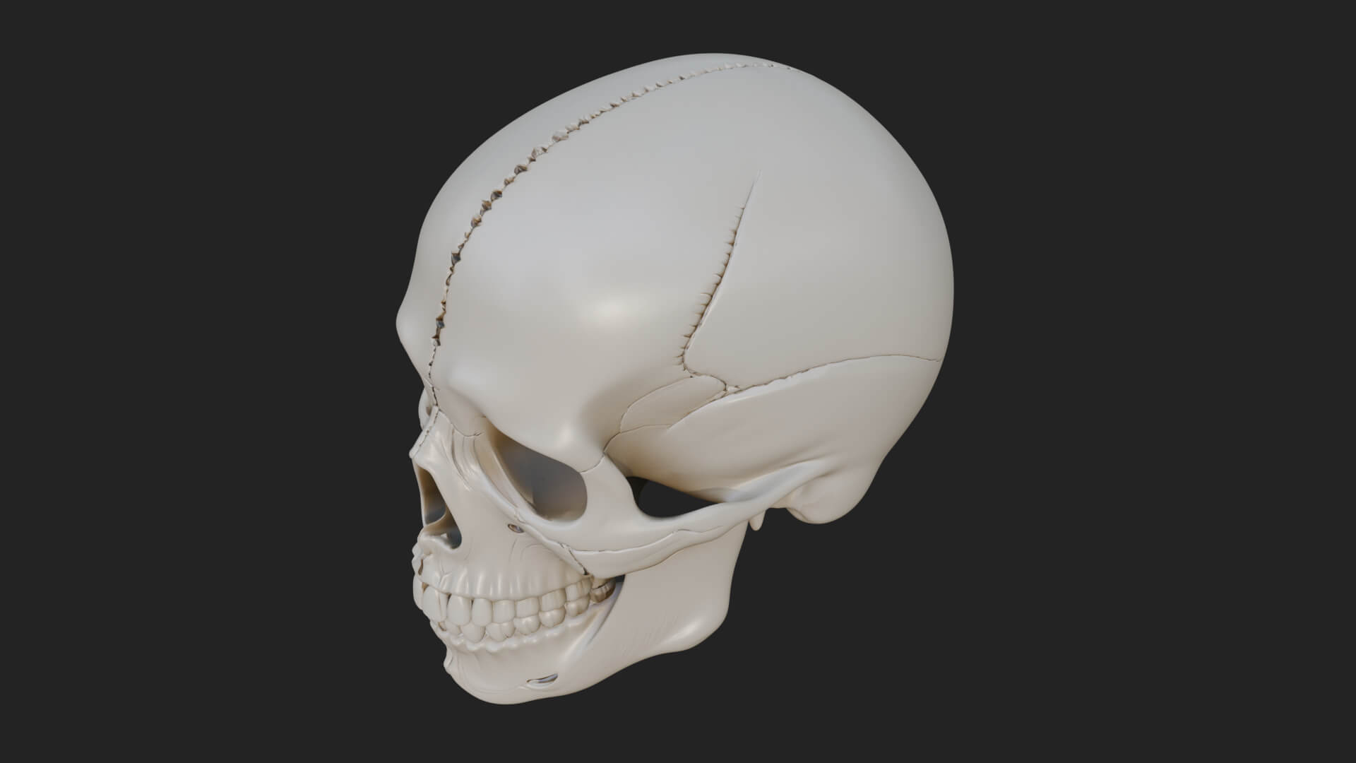 Human Skull Statue Design 6 3D Print Model 3D Model