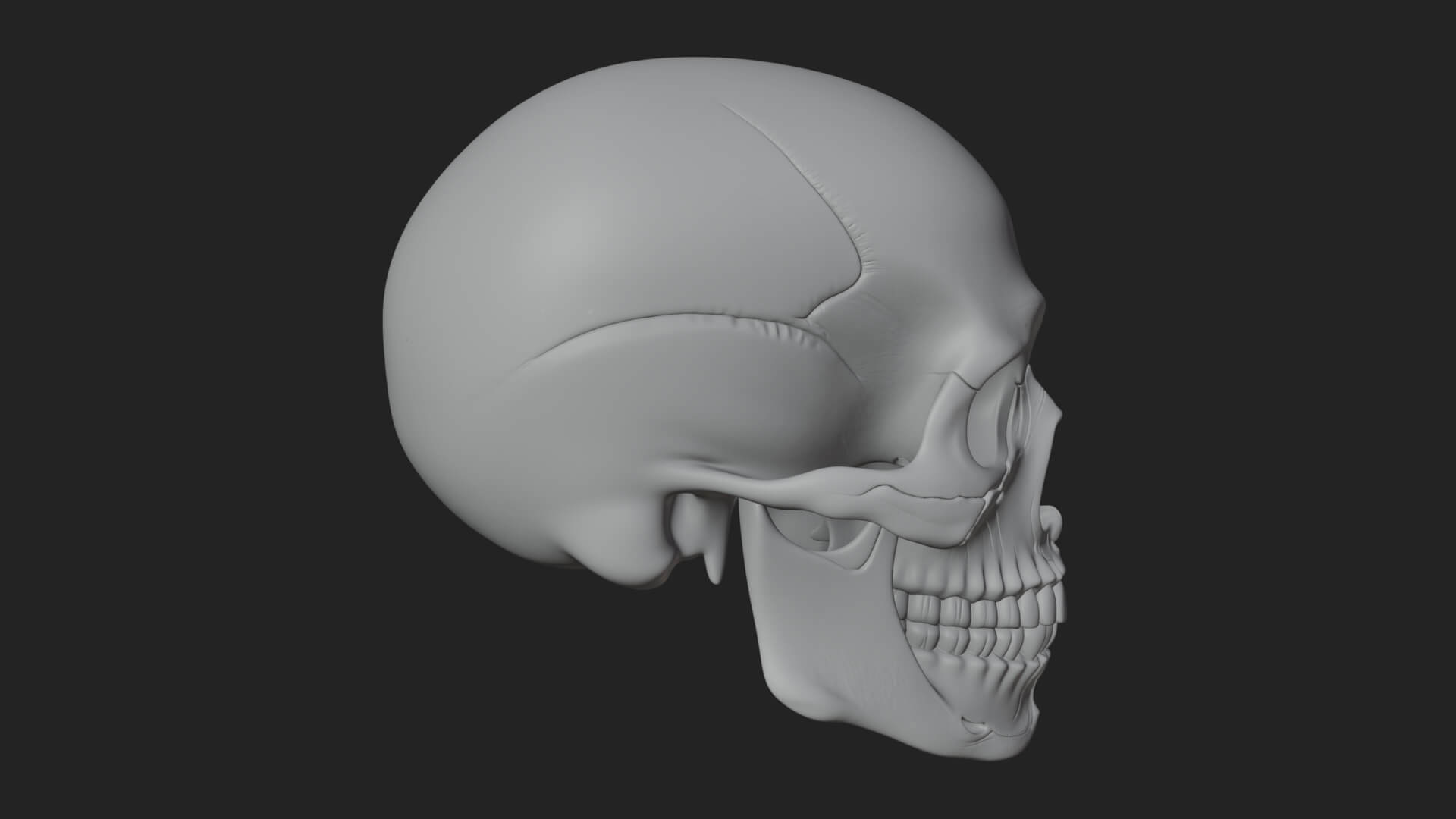 Human Skull Statue Design 6 3D Print Model 3D Model