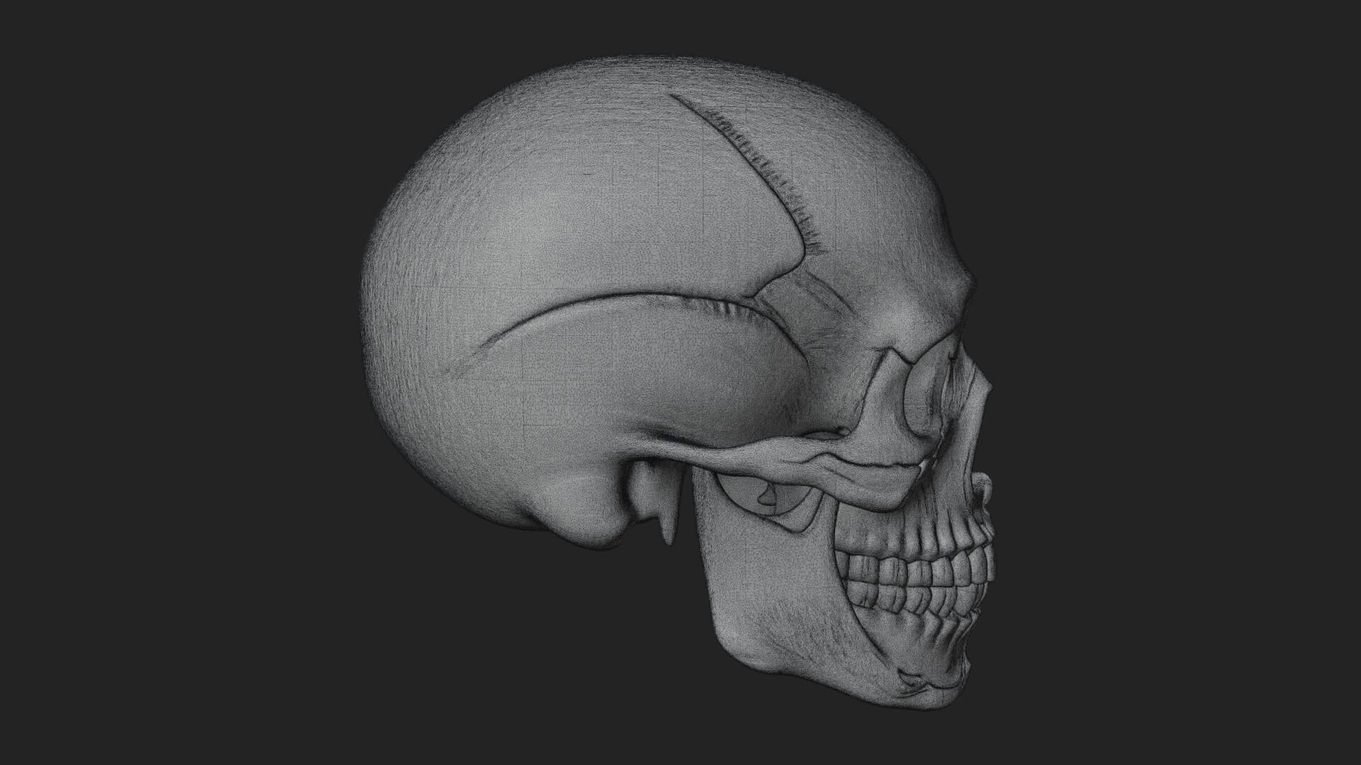 Human Skull Statue Design 6 3D Print Model 3D Model