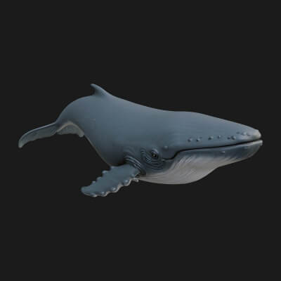 Humpback Whale Statue Design 12 3D Print Model