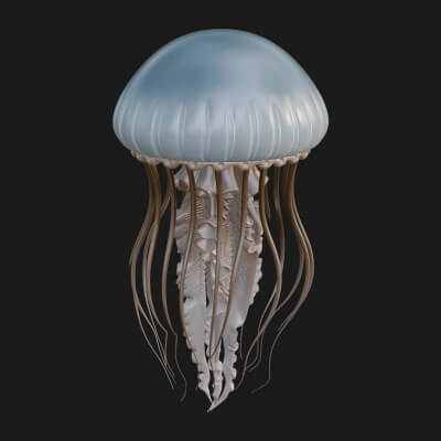 Jellyfish Statue Design 1 3D Print Model