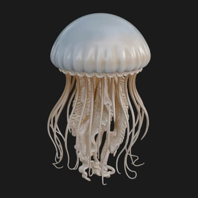 Jellyfish Statue Design 2 3D Print Model