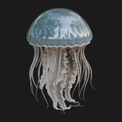 Jellyfish Statue Design 5 3D Print Model