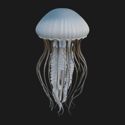 Jellyfish Statue Design 6 3D Print Model