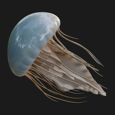 Jellyfish Statue Design 8 3D Print Model
