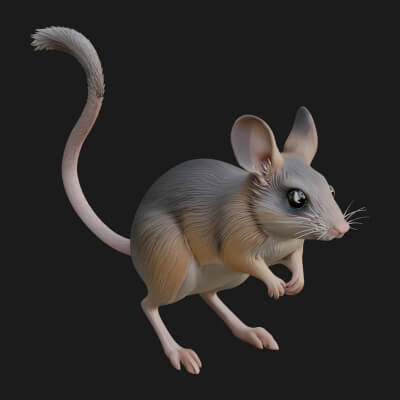 Jerboa Statue Design 3 3D Print Model