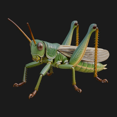 Katydid Statue Design 10 3D Print Model