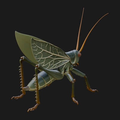 Katydid Statue Design 11 3D Print Model