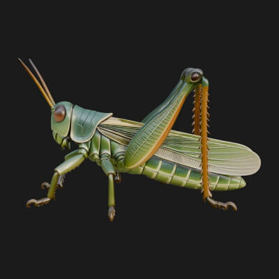Katydid Statue Design 12 3D Print Model